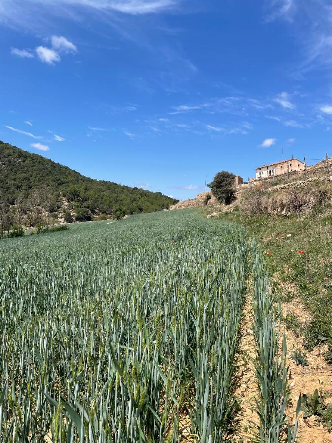 Masia La Perera Μορέλια Εξωτερικό φωτογραφία